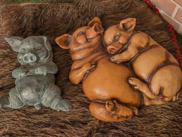 Schlafende Porzellan Schweine