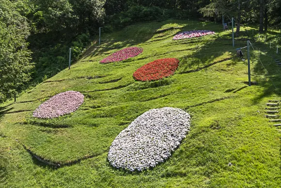 Ein steiler, grüner Rasenhang mit fünf ovalen Blumenbeeten in verschiedenen Farben, die in Terrassen angeordnet sind. Die Beete zeigen Blüten in Weiß, Hellrosa, leuchtendem Rot und Dunkelrosa.