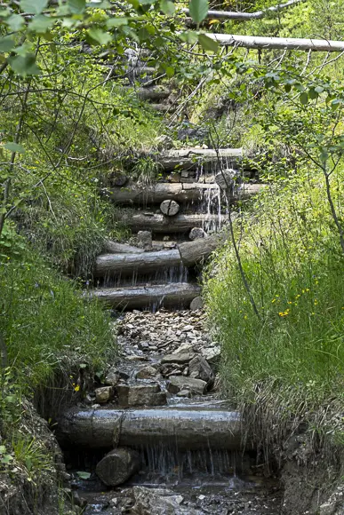 Ein kleiner Wasserlauf in Alta Badia, möglicherweise am Lech Dlá Lunch, der über mehrere Stufen aus quer liegenden Holzstämmen und Steinen fließt. Der Wasserfall ist eingebettet in dichte grüne Vegetation und hohes Gras.