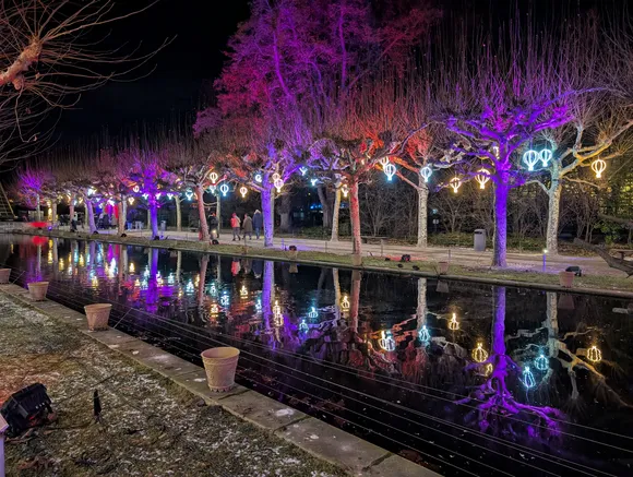 Mehrere Lichtsterne auf dunklen Wasseroberfläche und spiegeln sich darin; im Hintergrund sind beleuchtete Bäume zu sehen.