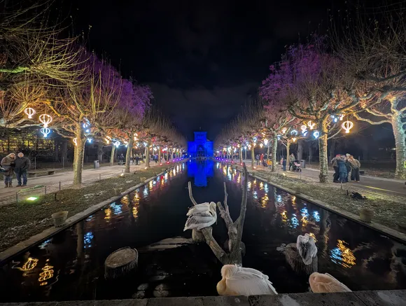 Spiegelung in dunkler Wasseroberfläche
