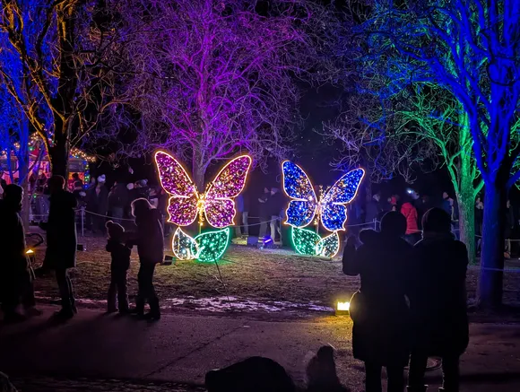 Zwei große, farbenfrohe Lichtskulpturen in Schmetterlingsform auf einer Wiese, umgeben von violett und grün angestrahlten Bäumen.