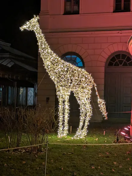 Eine hohe Lichtskulptur einer Giraffe aus warmweißen LEDs, die auf einer Wiese vor einem beleuchteten historischen Gebäude mit Rundbogentüren steht.