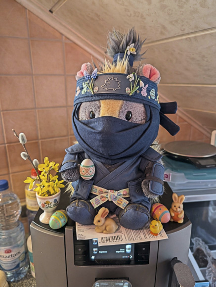 klein Viki als Ninja